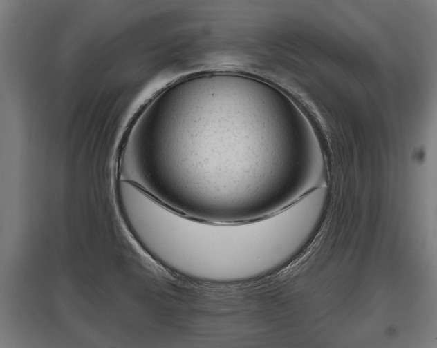 X0000095941424200801181351