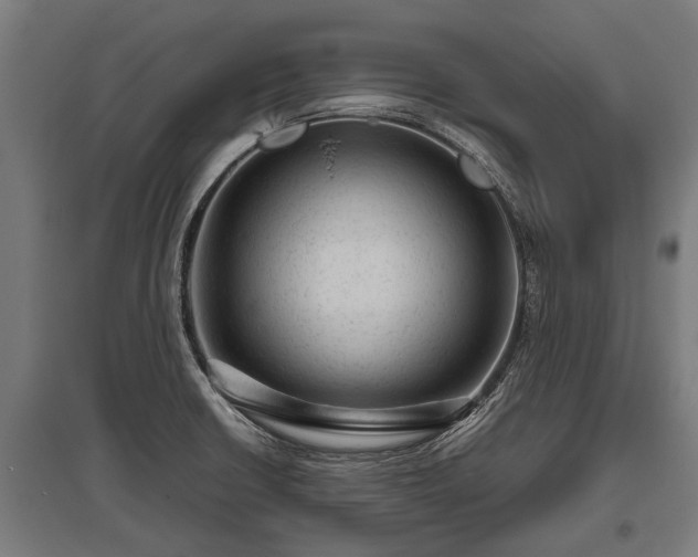 X0000095941426200801181351
