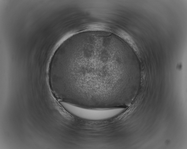 X0000095941427200801181351