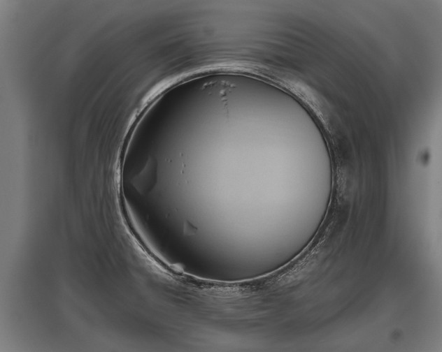 X0000095941428200801181351