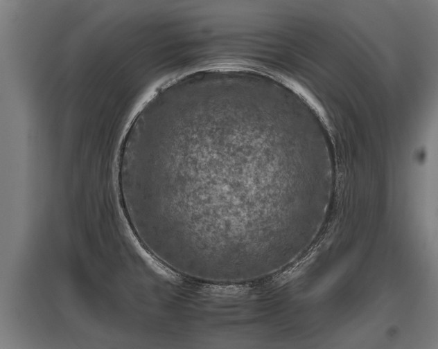 X0000095941429200801181351