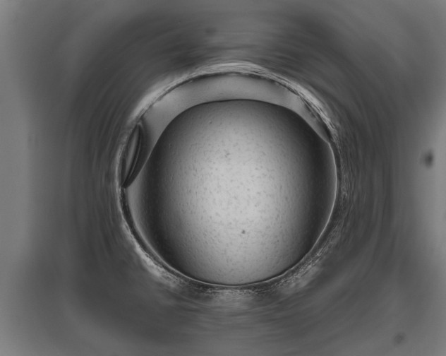 X0000095941430200801181351