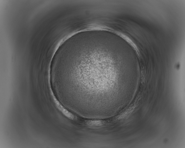 X0000095941431200801181351