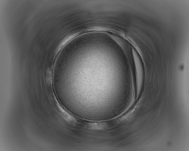 X0000095941433200801181351
