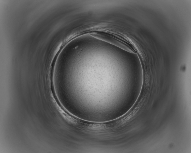 X0000095941434200801181351