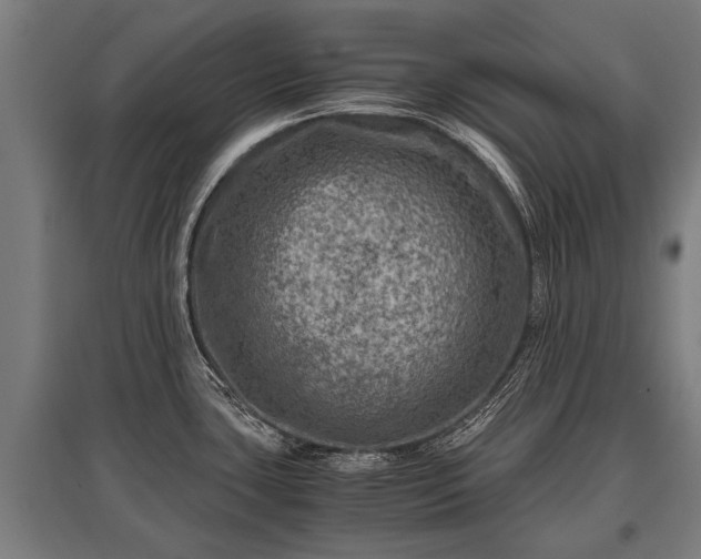 X0000095941435200801181351