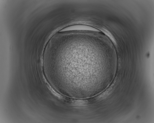 X0000095941436200801181351
