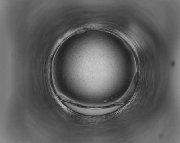 X0000095941437200801181351