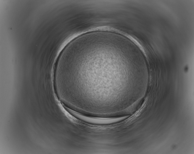 X0000095941438200801181351