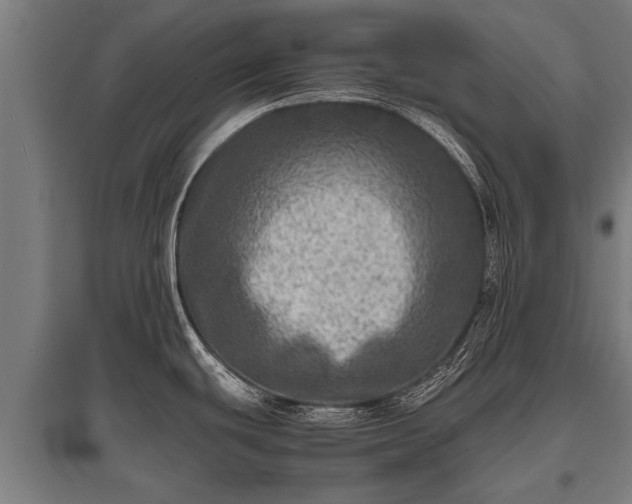 X0000095941439200801181351