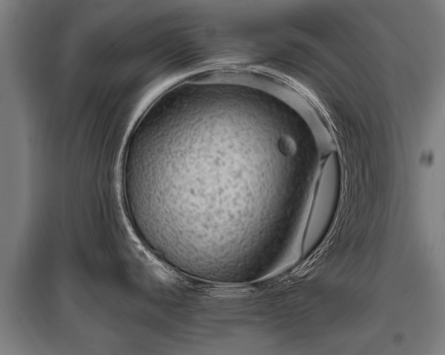 X0000095941440200801181351