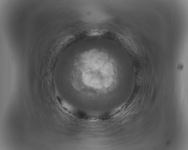 X0000095941441200801181350