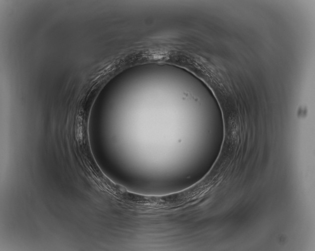 X0000095941442200801181350