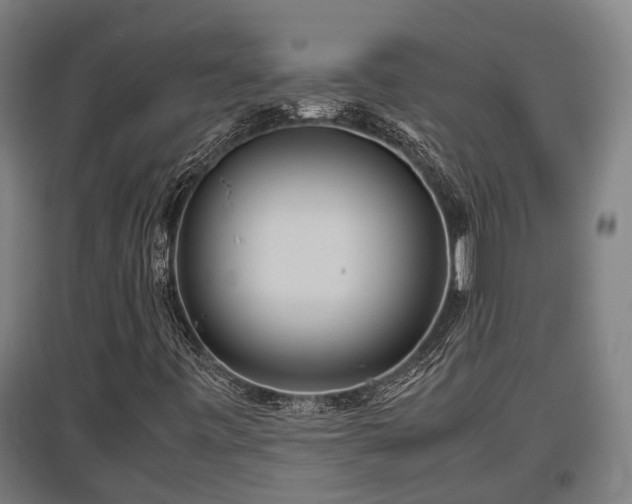X0000095941443200801181350