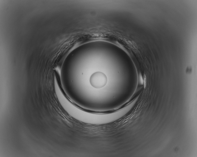 X0000095941444200801181350