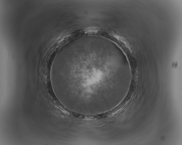 X0000095941445200801181350