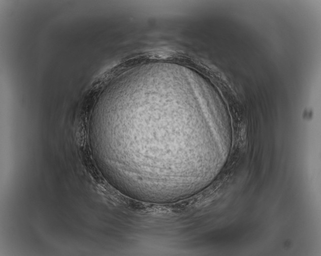 X0000095941446200801181350