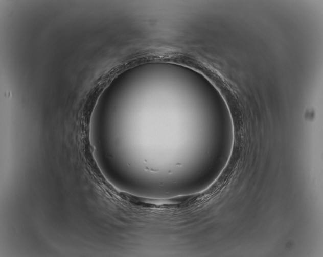 X0000095941447200801181350
