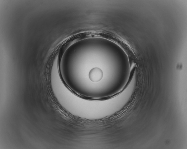 X0000095941448200801181350