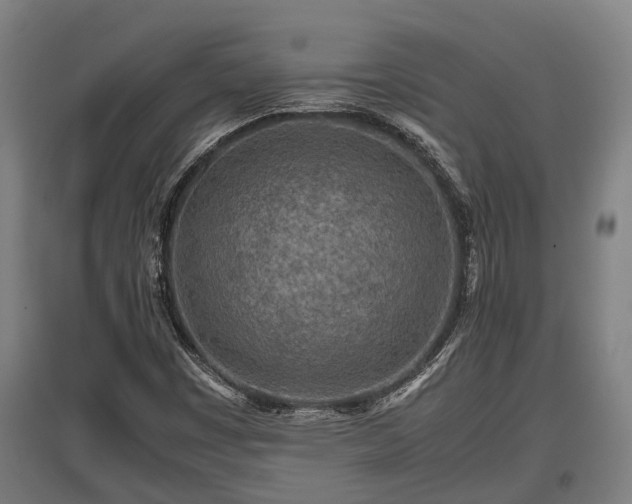 X0000095941449200801181350