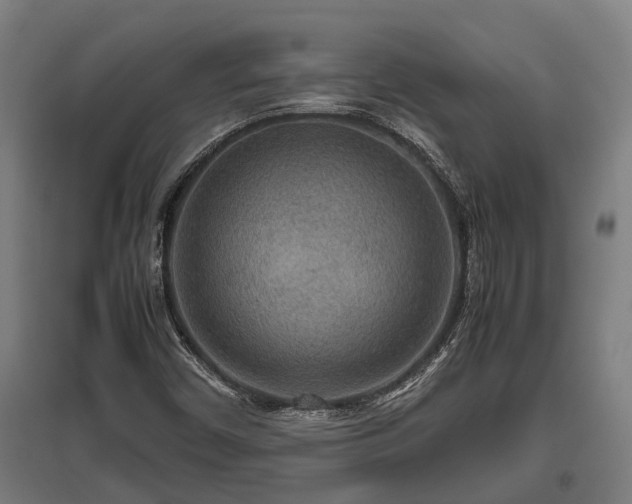 X0000095941450200801181350