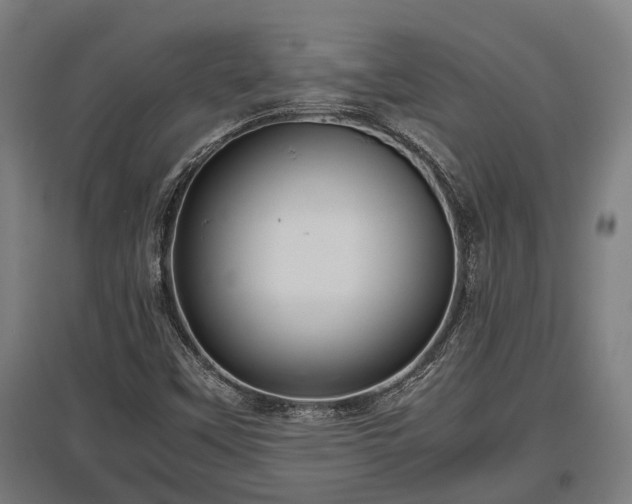 X0000095941451200801181350