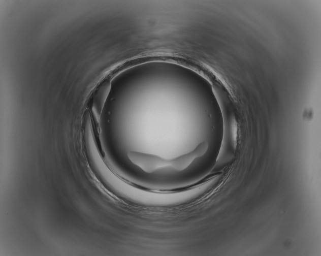 X0000095941452200801181350