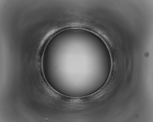 X0000095941454200801181350