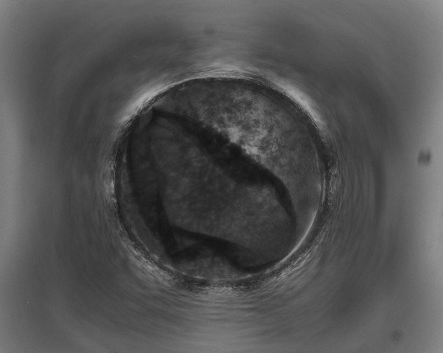 X0000095941455200801181350