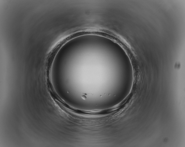 X0000095941456200801181350