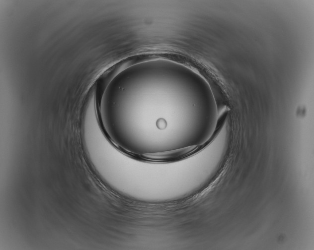 X0000095941457200801181350