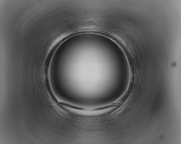 X0000095941458200801181350