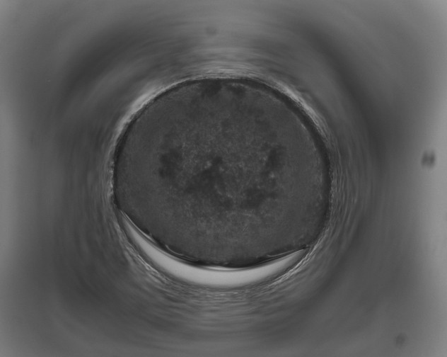 X0000095941459200801181350