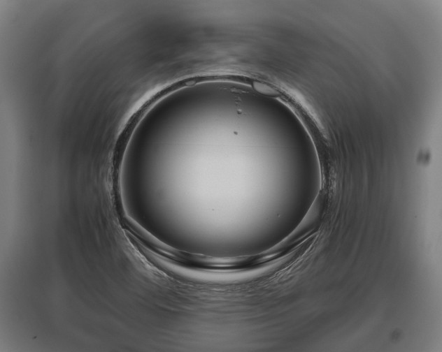 X0000095941460200801181350