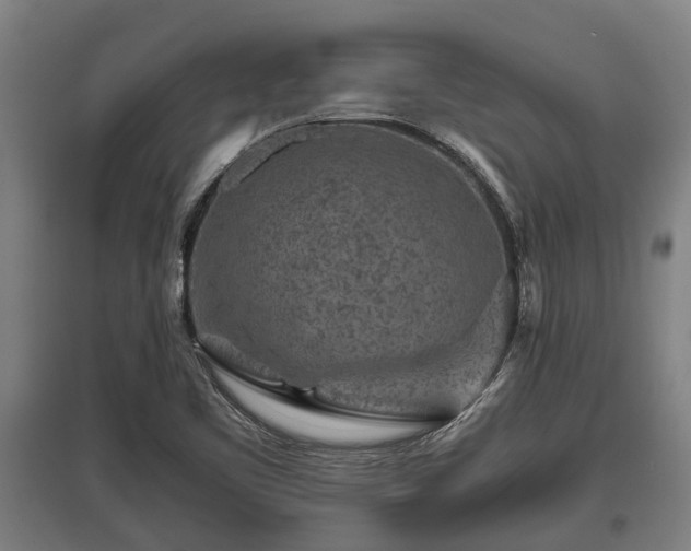 X0000095941461200801181350