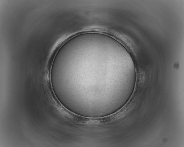X0000095941462200801181350