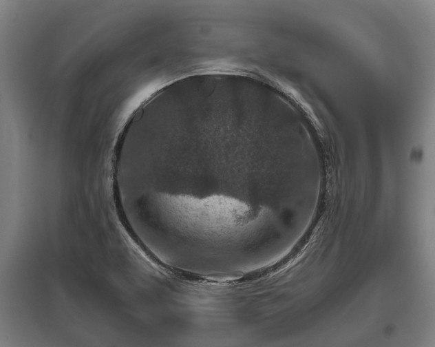 X0000095941463200801181350