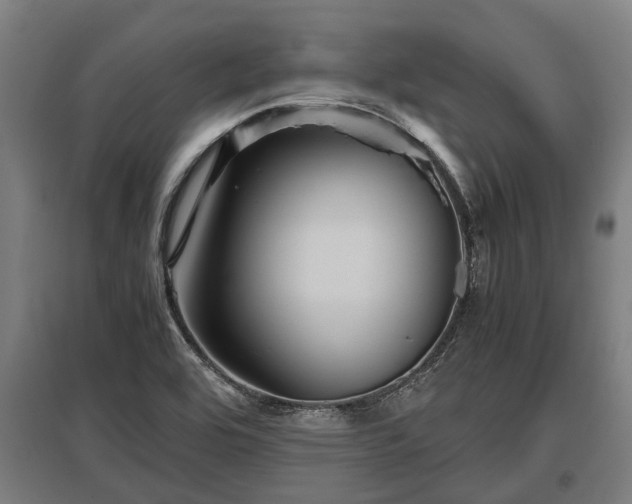 X0000095941464200801181350