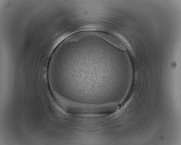 X0000095941465200801181350