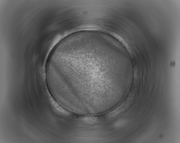 X0000095941466200801181350