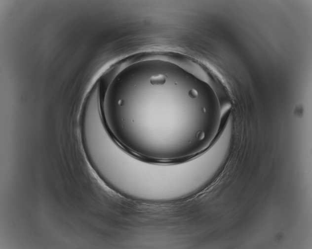 X0000095941468200801181350