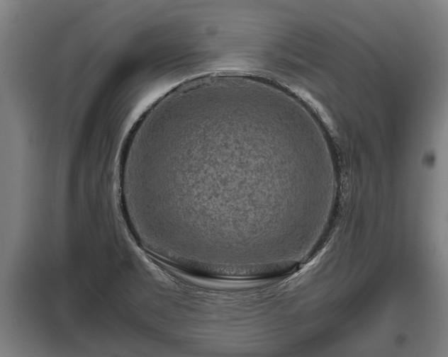 X0000095941469200801181350