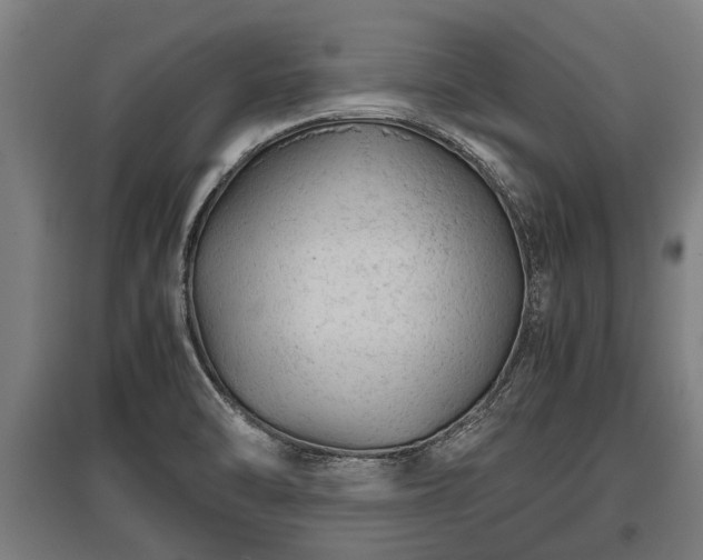 X0000095941470200801181350