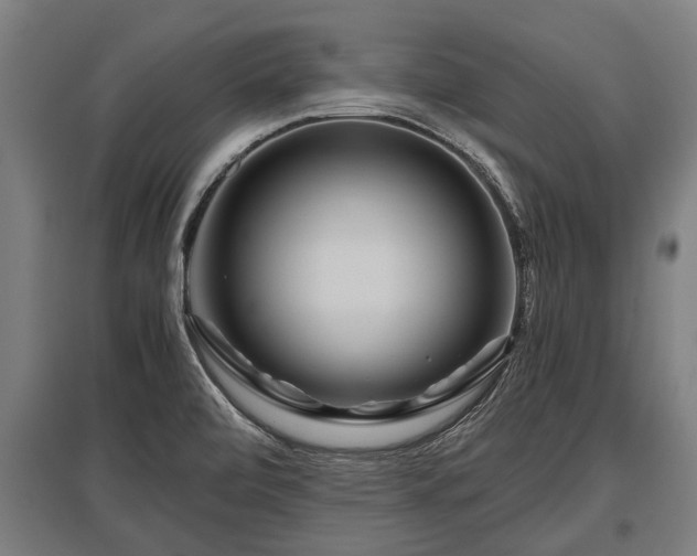 X0000095941472200801181350