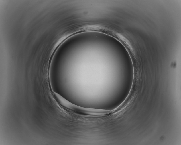 X0000095941473200801181350