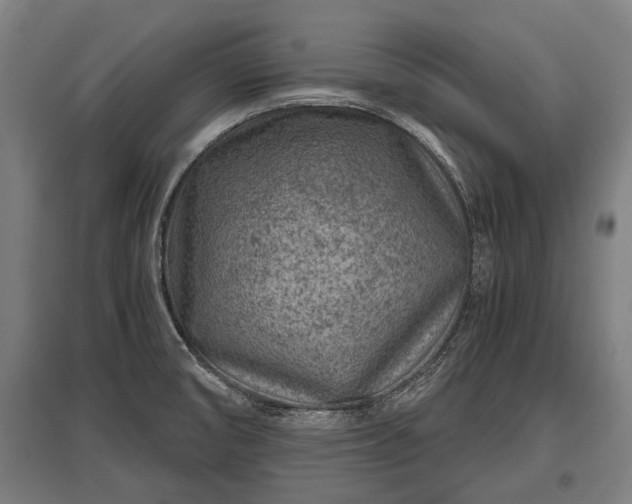 X0000095941474200801181350