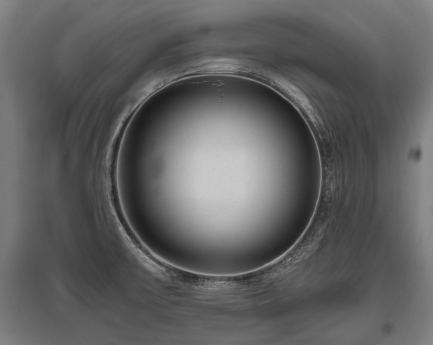 X0000095941475200801181350