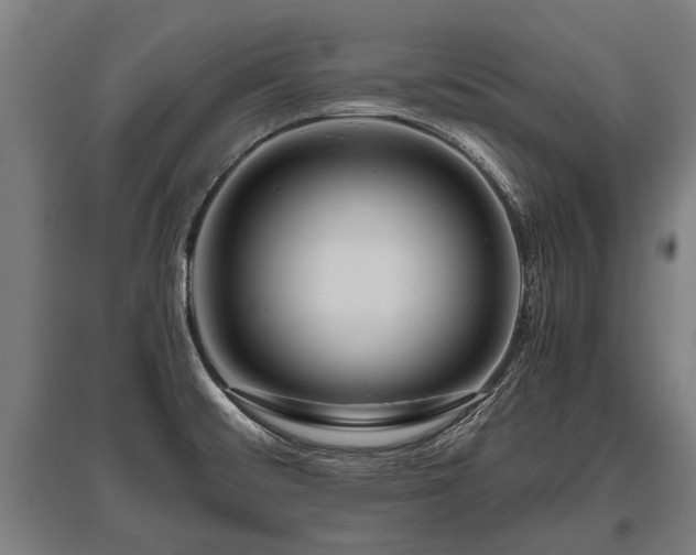 X0000095941476200801181350