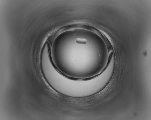 X0000095941477200801181350