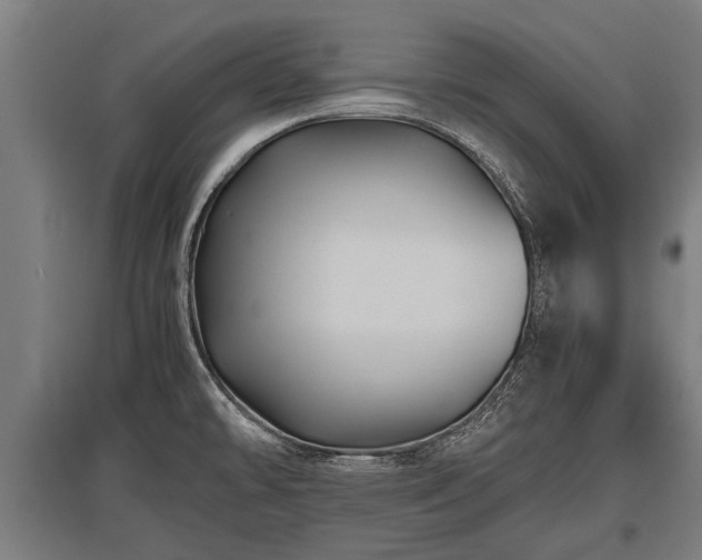 X0000095941478200801181350